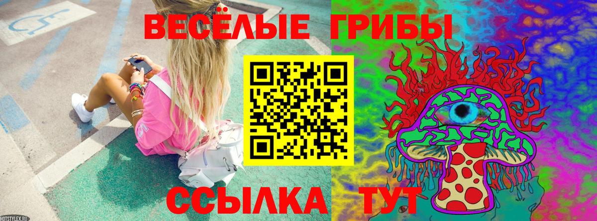 Галлюциногенные грибы мицелий  Вход с VPN  Краснознаменск 